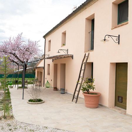 B&B Le Rondini Ostra Senigallia Casine  외부 사진