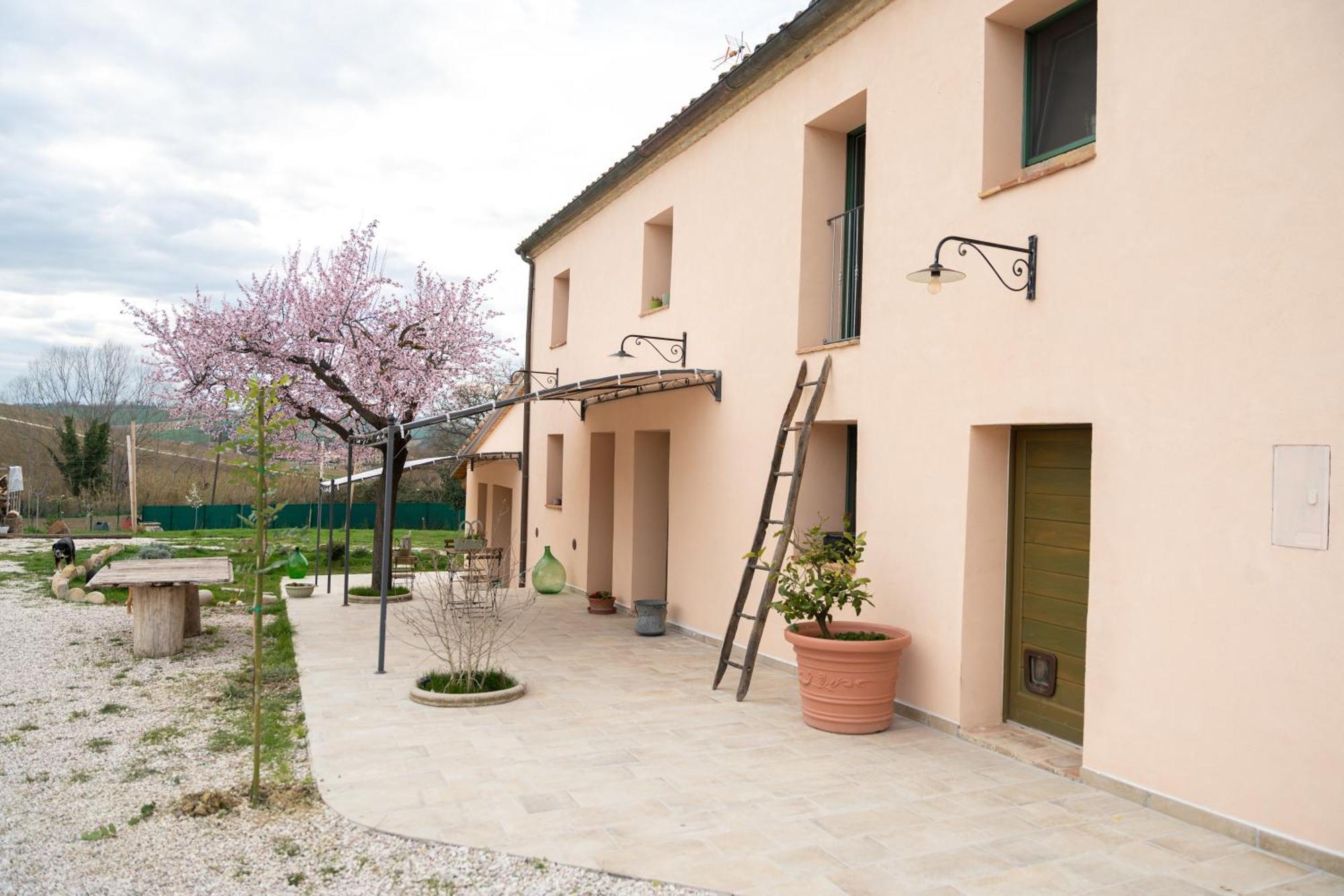 B&B Le Rondini Ostra Senigallia Casine  외부 사진